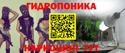твердый Будённовск