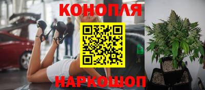 твердый Будённовск