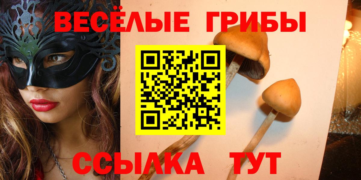 продажа наркотиков  Вход с VPN  Крымск  Галлюциногенные грибы мицелий 
